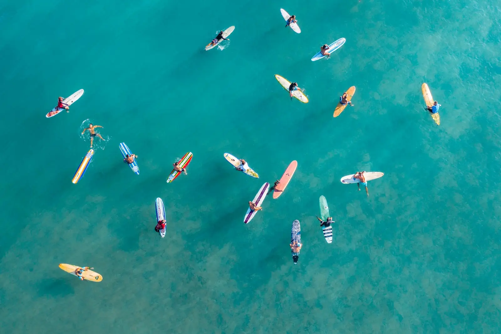 Le Snapshot Orientatif : la nouvelle tendance de la formation en entreprise
