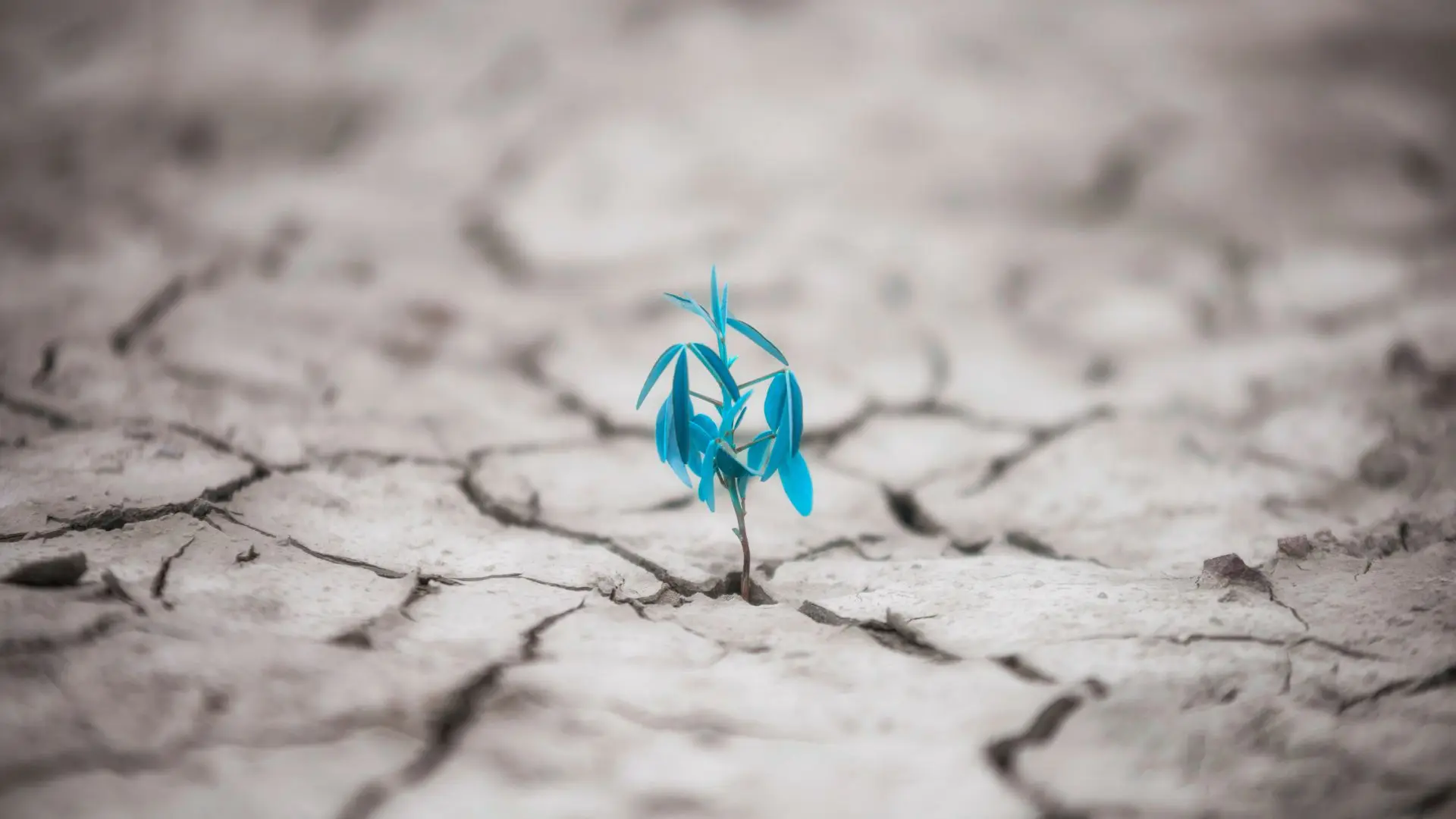 Resilienza Creativa per Team Agili