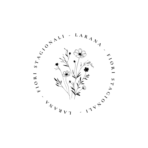 Certificazione 3